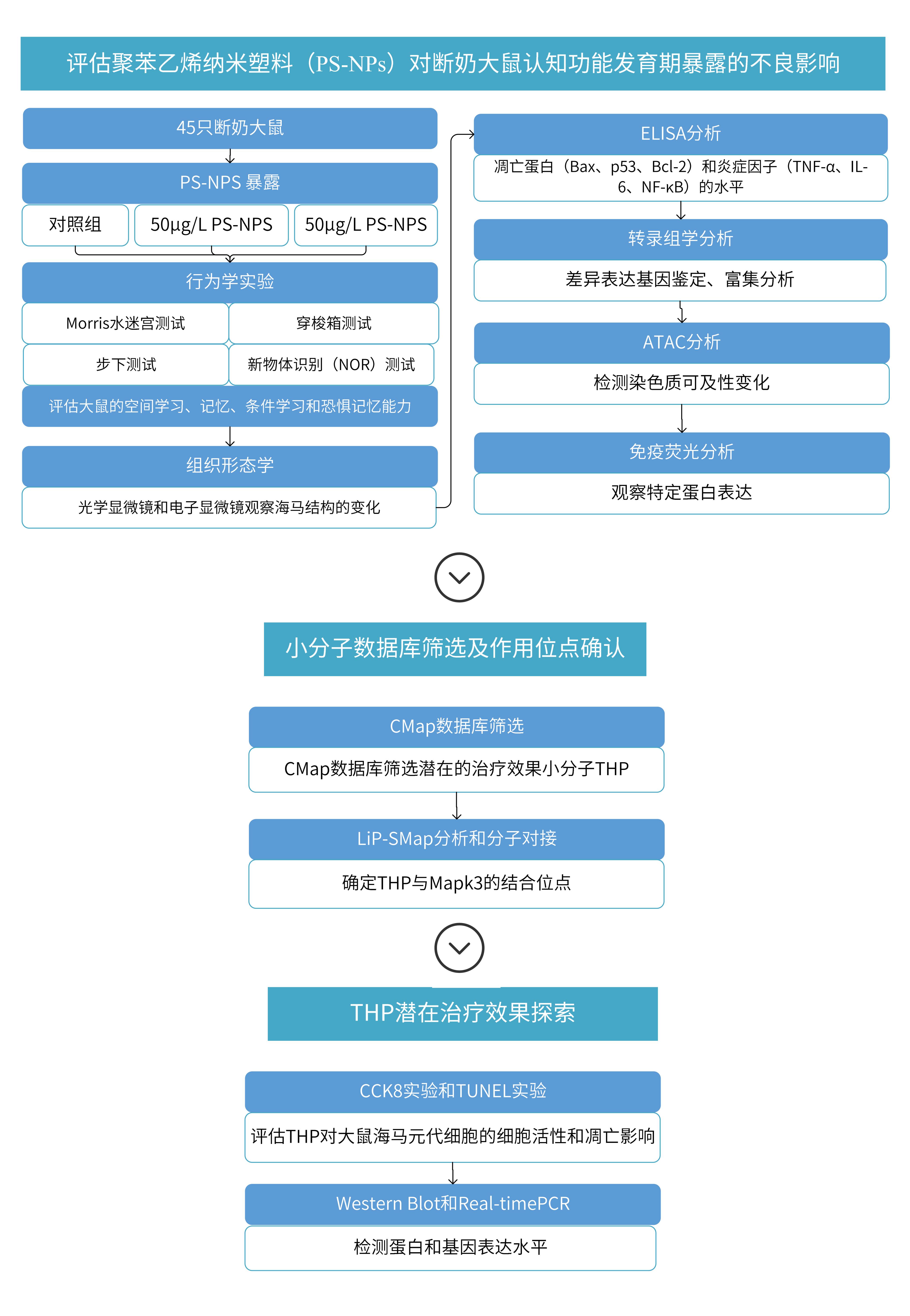 1721812132549637.jpg LiP-MS文章解讀思路_00(1)(1).jpg