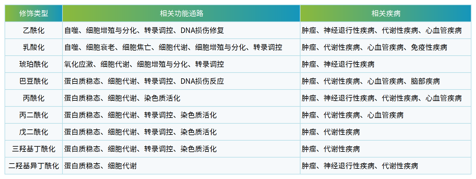 酰化-功能與疾病.png