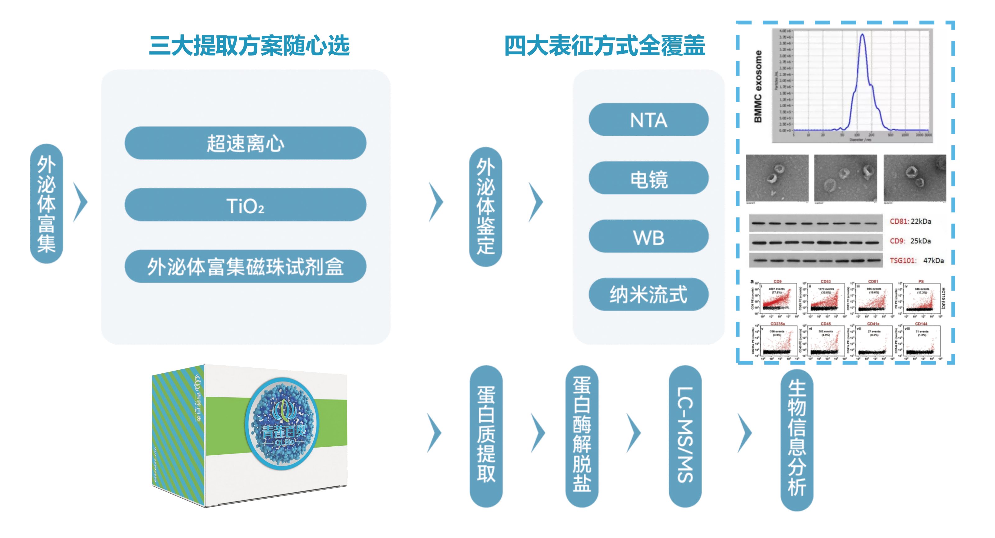 1728980657661593.png 素材-20240925_01(1).png